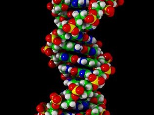 dna